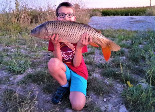 Les carpes sont bien représentées 