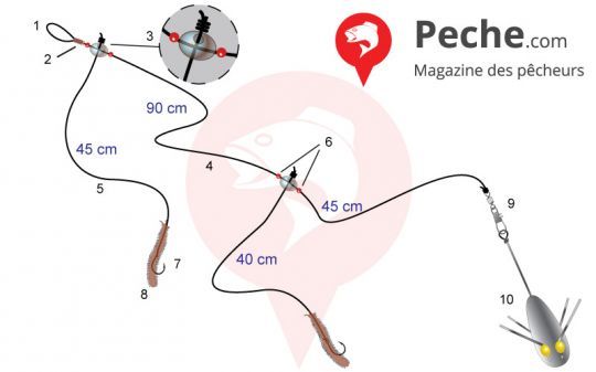 Montage pour la sole en surfcasting