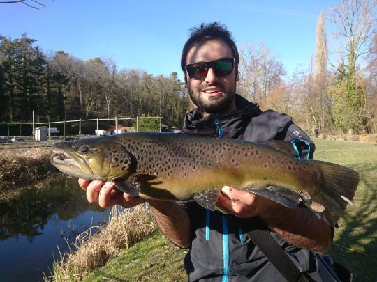 Une superbe fario de réservoir