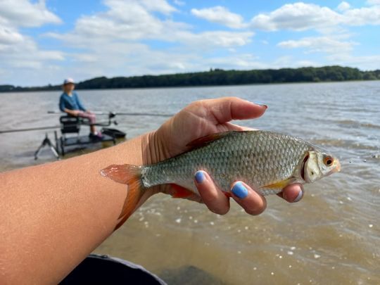 Le plaisir de la pêche au coup à la grande canne