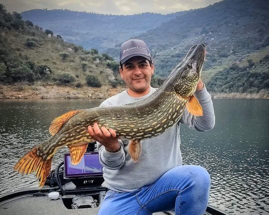 Des rêves accomplis