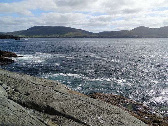 De nombreux spots pour le bar