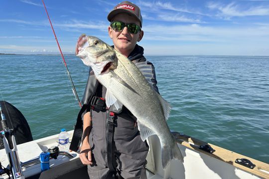 Un bar à 1 cm de la maille !