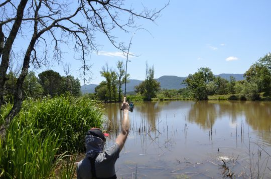 L'importance de la canne lors d'un combat