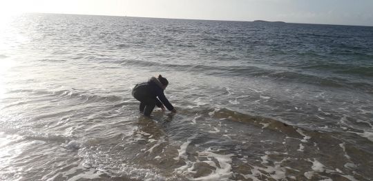 remise à l'eau d'un poisson