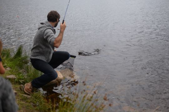 Une jolie truite leurrée en surface au bouton