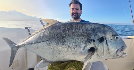 La carangue GT, un poisson d'exception