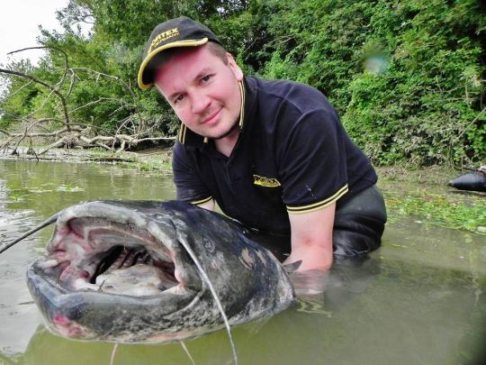 Pêcheur de silure