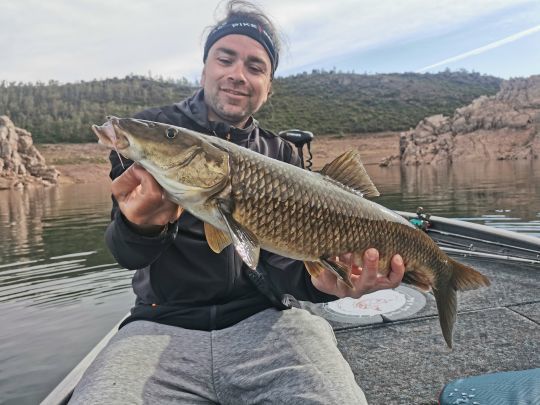 Pêche du barbeau en Extrémadure