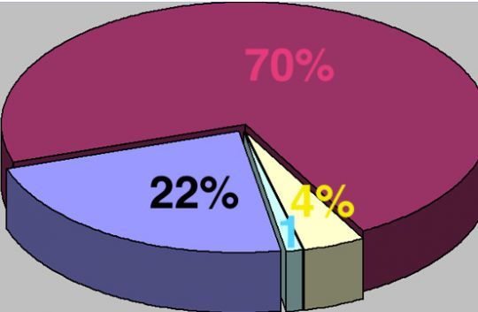 Répartition des éléments les plus importants : 70% amidon, 22% glucides, 4% protéines, 1% lipides. 