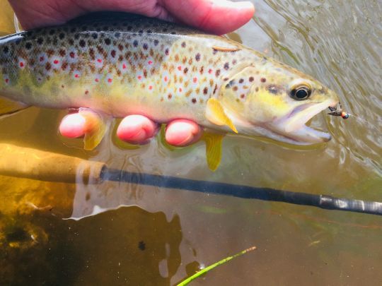 Veillez à bien choisir vos secteurs de pêche en fonction de la technique utilisée