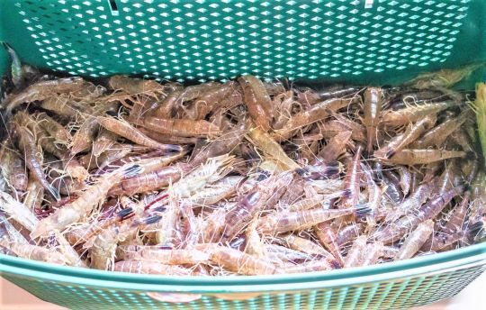 Adapter sa pêche à sa consommation