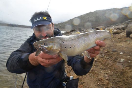 première de la saison à la Native Spoon d'Illex