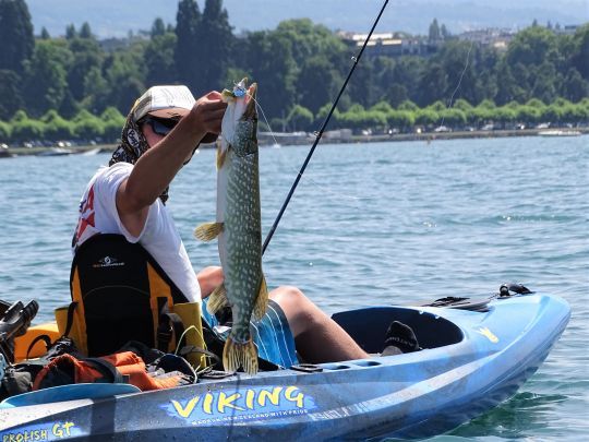 Pêcher le brochet au leurre souple