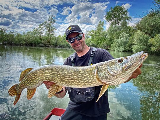 A la recherche des plus gros poissons