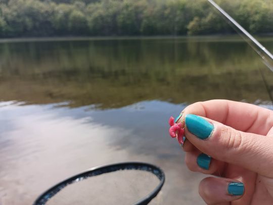 Pour aller chercher de beaux poissons, n'hésitez pas à mettre une plus grosse bouchée