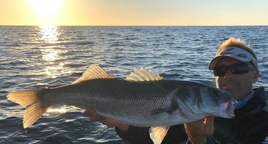 Dans ces eaux claires et surtout l'été avec le trafic maritime, privilégiez les extrémités du jour