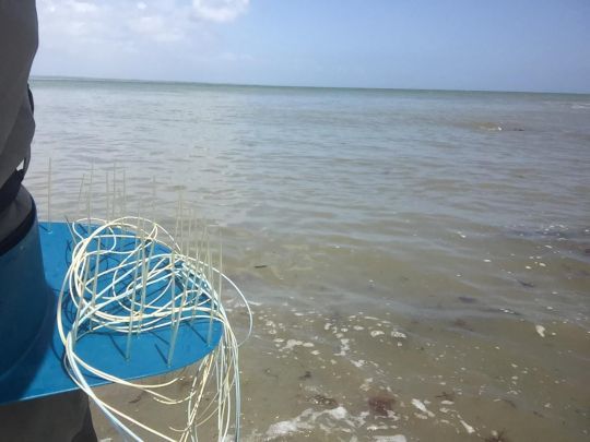 Ce type de panier est très léger et bien approprié pour la pêche du bar comme du brochet 