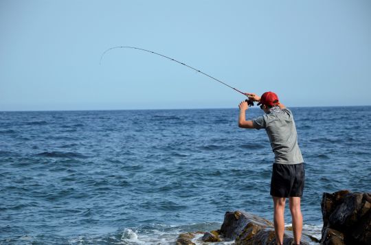 Qué es la acción de una caña de pescar? - Blog Formulapesca