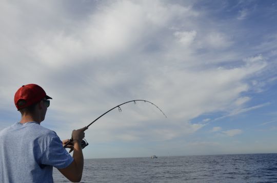 Qué es la acción de una caña de pescar? - Blog Formulapesca