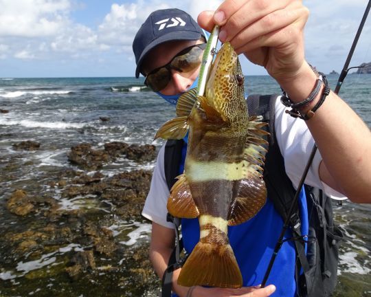 3 técnicas eficaces para pescar desde la orilla en Canarias