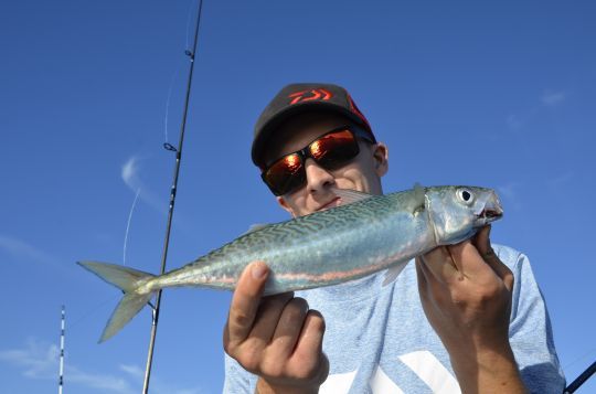 Trouver la bonne zone en fonction des espèces recherchées