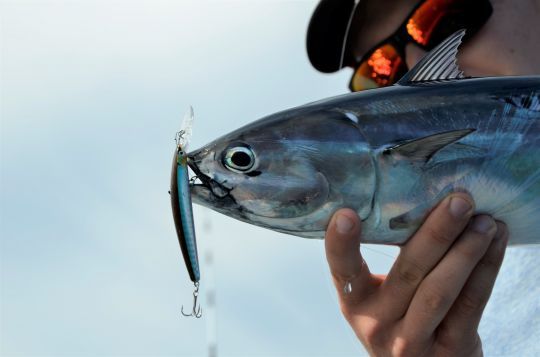 Adapter la taille du leurre