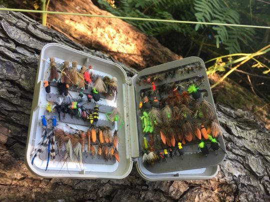 Une bonne sélection de terrestres permet de trouver le menu du jour!