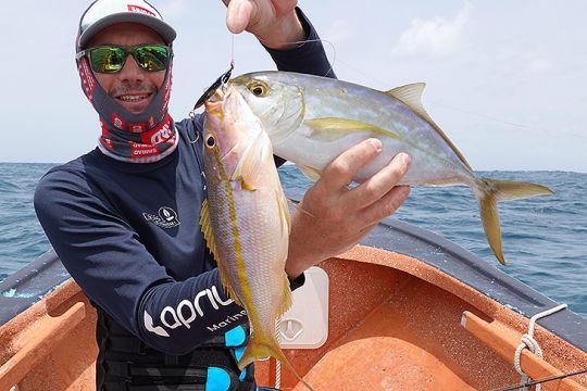 Un vivaneau queue jaune pris en doublé avec une petite carangue