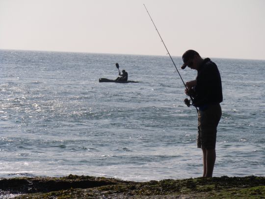 Ley de la lubina 2023: ¡se autoriza de nuevo la pesca de la lubina desde la  orilla!