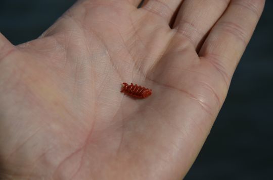 Les Power Isome peuvent être utilisés entiers ou en petits morceaux