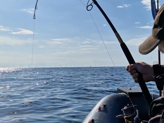 Las mejores ofertas en Carretes de Pesca Spinning Carrete de atún