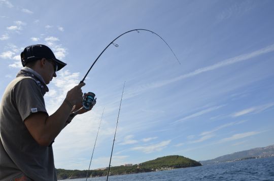 Pêcher moins gros