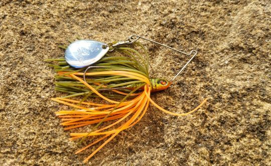 Spinnerbait