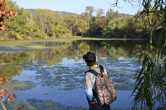 Privilégier les petits plans d'eau 