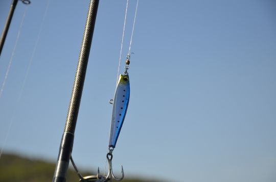 L'émerillon rolling et anneau brisé pour les gros poissons