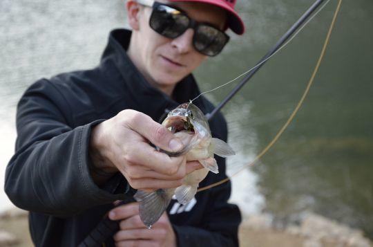 Une technique efficace sur les poissons éduqués