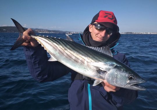 Pêcher les poissons pélagiques à l'aide d'inchiku