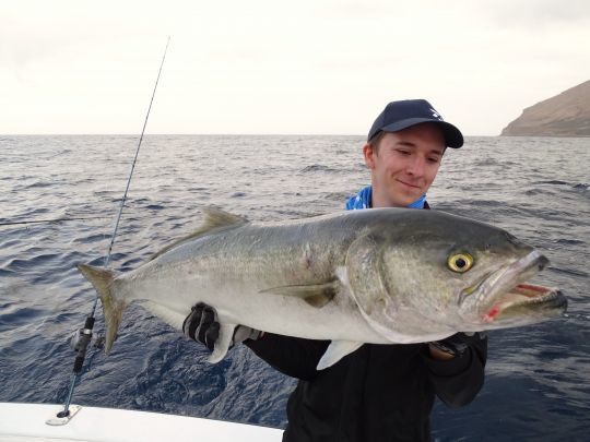 3 especies para pescar en Canarias, pesca exótica accesible