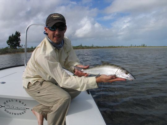 Le bonefish est l'espèce principalement visée lors d'un voyage en "exo"