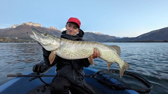 Brochet du lac d'Annecy