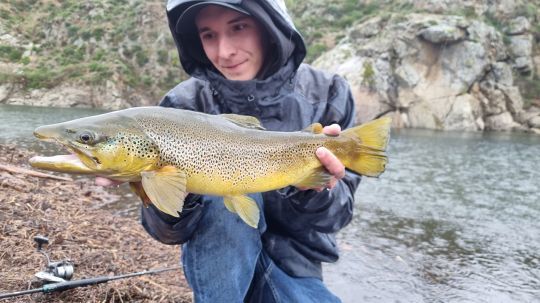 Pêcher la truite sous la pluie