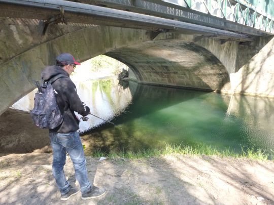 Pêcher le chevesne au leurre