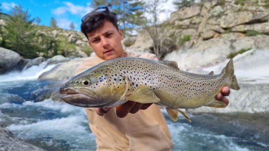 Pêcher de grosses truites c'est réalisable