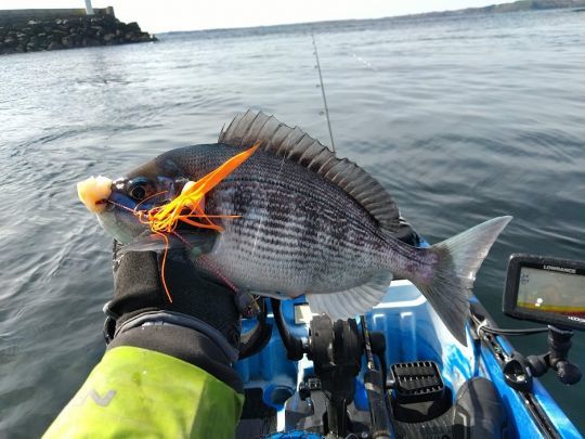 Se tourner vers la pêche des sparidés