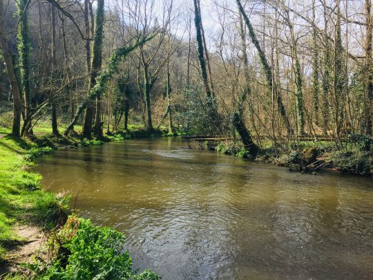 Très beau secteur lent et profond jonché de block pour la pêche au streamer