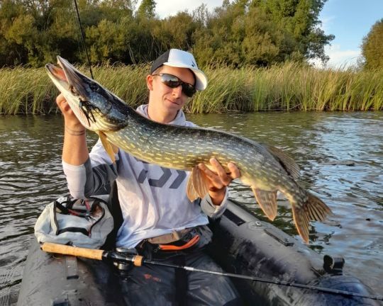 Pêche du brochet au chatterbait