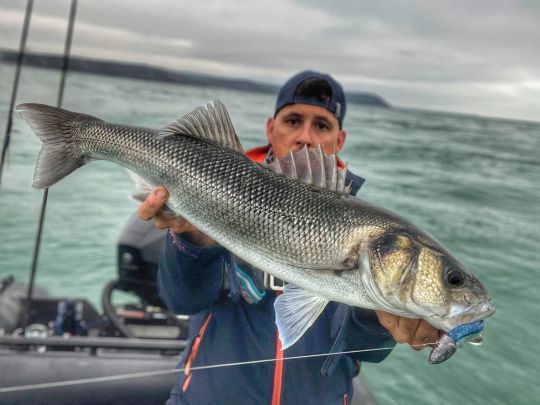 Animé très proche du fond, le Black Minnow 160 m'a permis de capturer de très joli bars !