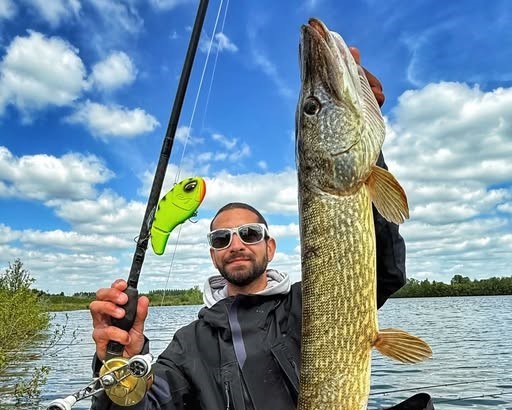 Rechercher les gros poissons