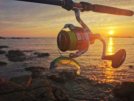 Pour la pêche du bord, optez pour une canne suffisamment longue afin d'atteindre des distances de lancer suffisantes. Ici, une NFC SJ 803 de Rodhouse.